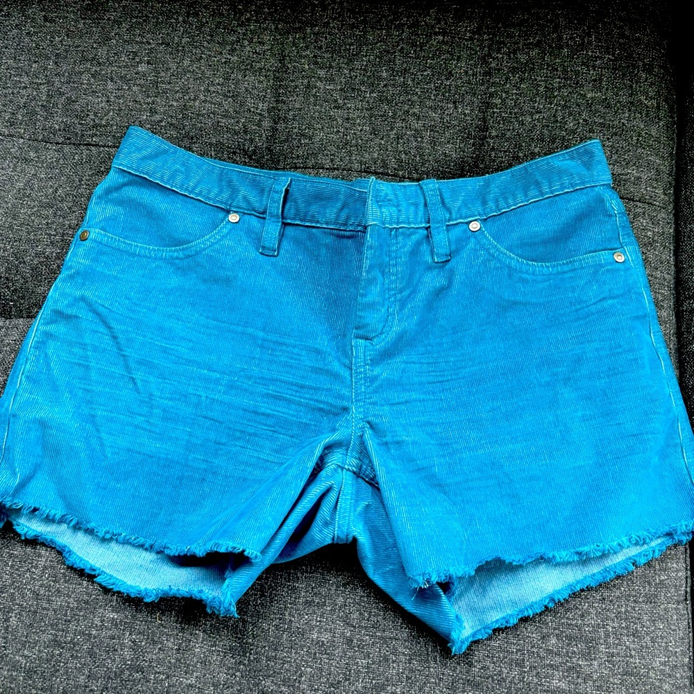 NWOT Carve Designs Corduroy Shorts